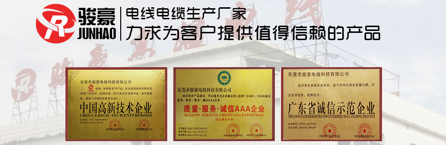 1-1P411113K0431 µÂÓ®VWINµçÏßÉùÓþÖ¤Êéչʾ