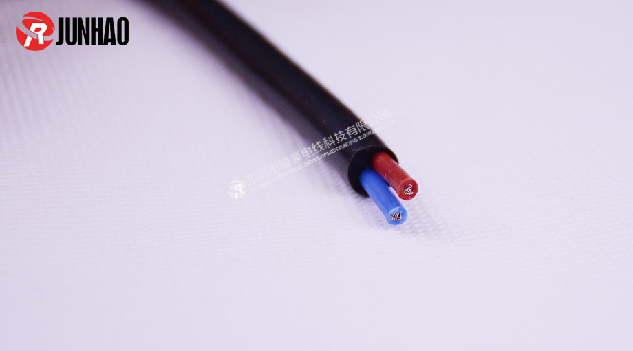 1-1P91Q43SXE 1.5平方双芯电源线产品图