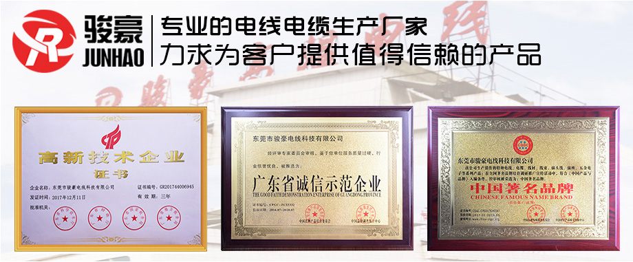 1-1Z110100312V9 德赢VWIN电线声誉