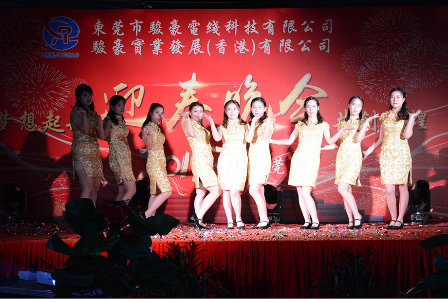 1-1Z12211332E44 节目演出