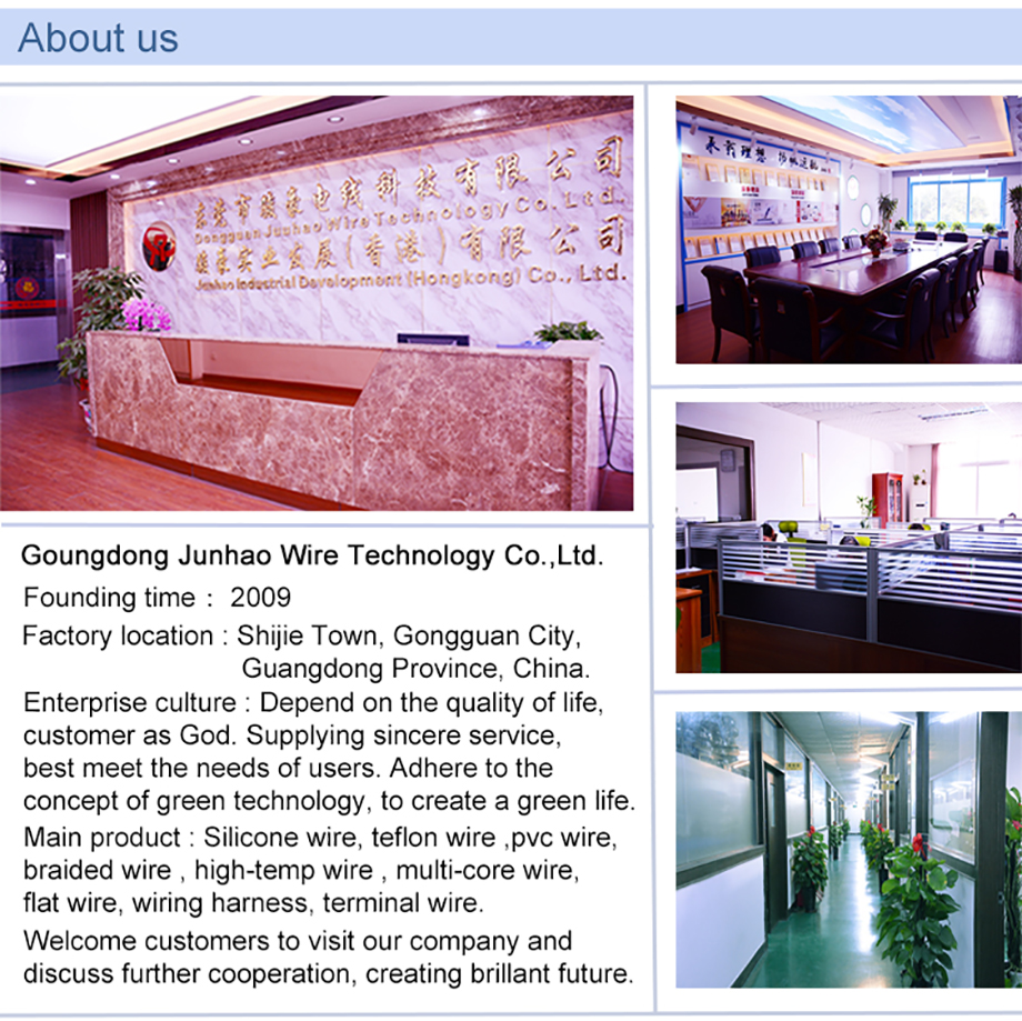 1-200604112312363 company profile